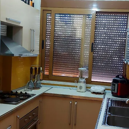 דירה Roar גולם